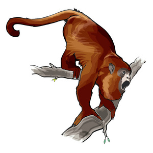 动物吼猴, 鹦鹉, araguato 或 caray Alouatta, 在树上嚎叫, 生活在南美洲的热带丛林中的矢量插图
