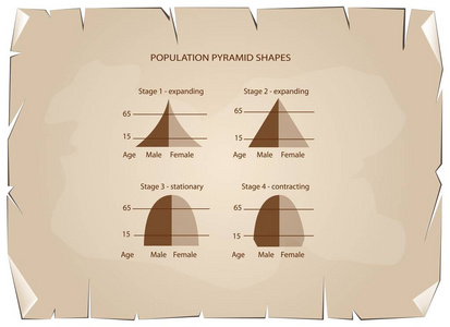 四种类型的人口金字塔旧纸张背景