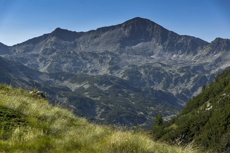 惊人的 Banderishki 鸡全景峰值，皮林山