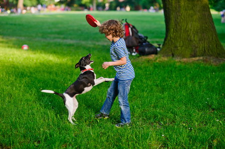 这个89岁的男孩和狗在公园里玩。