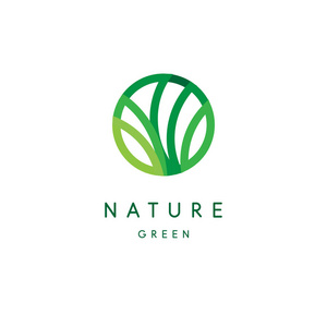 绿色热带叶子图标, 线条样式化, 圆形会徽, 现代设计, 树叶标识模板