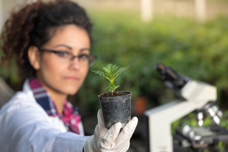 生物学家控股壶与新芽