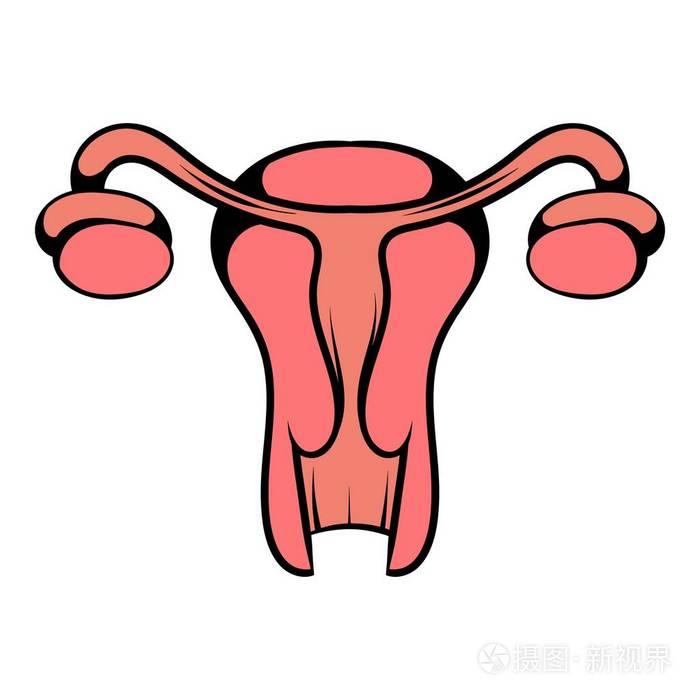 子宫和卵巢的图标,图标卡通