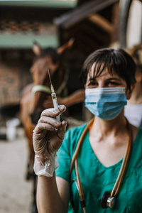 女兽医给马注射了稳定的.专注于注射器, 而兽医看相机照片