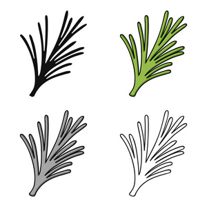 迷迭香在白色背景上孤立的卡通风格的图标。草本香料象征股票矢量图