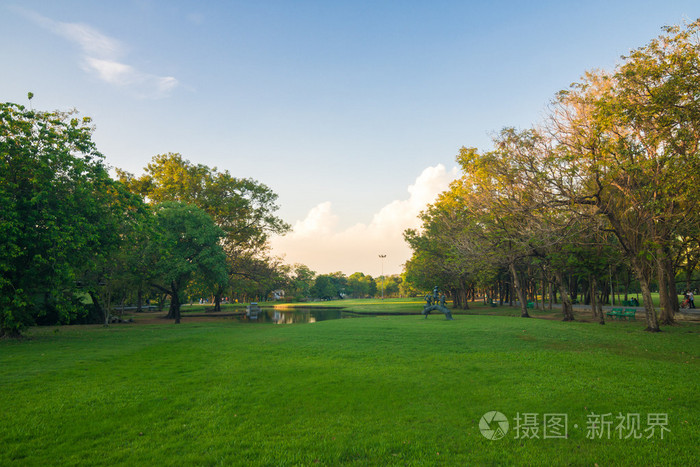 与草坪和树木在一个城市中的绿色公园