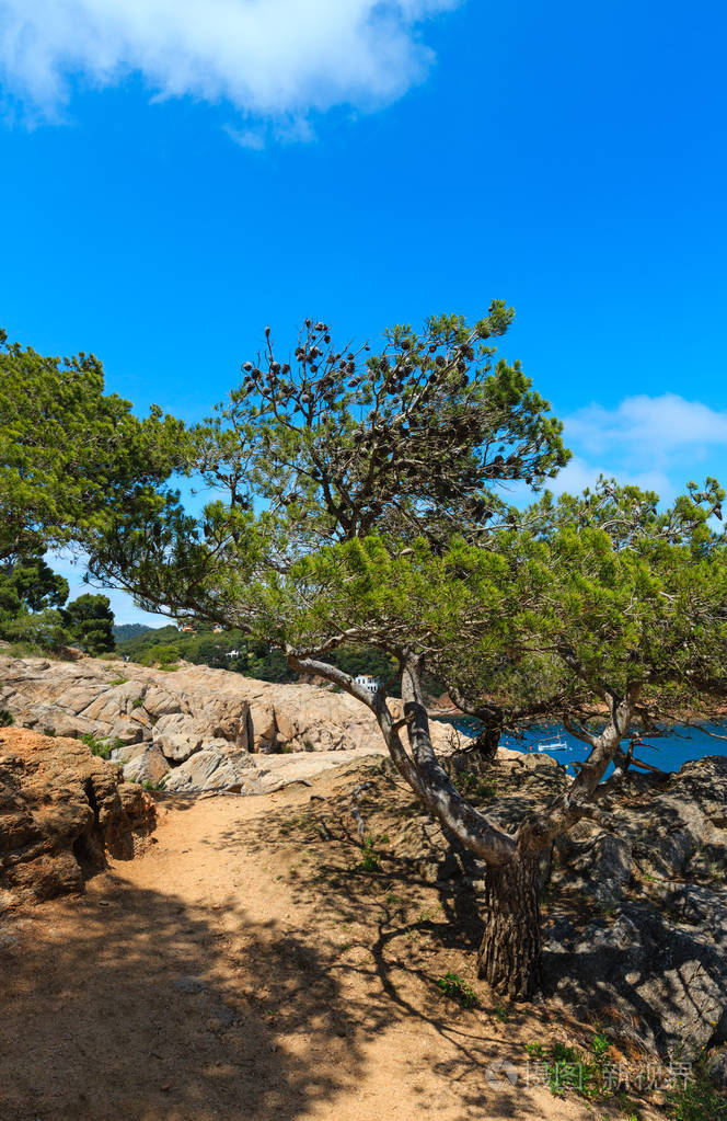 布拉瓦海岸的夏日风光西班牙