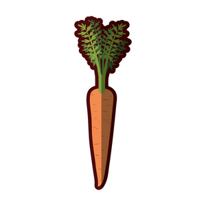 浅色的胡萝卜与茎 叶与厚厚的轮廓