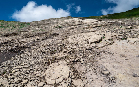 夏日阳光明媚的一天, 山上的石板田野自然 brienzer rothorn