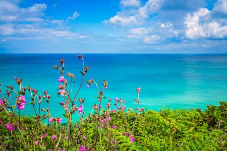 绿色乡村康沃尔山草甸和绿松石海的景观, 康沃尔, 英国, 英国