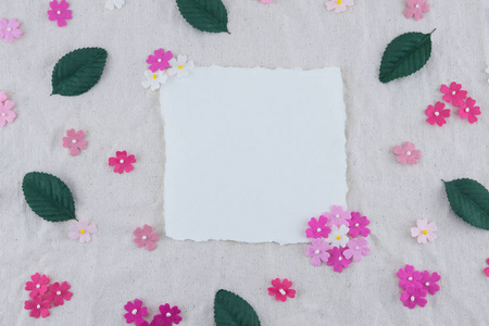 空白白色卡片装饰以粉红色的口气纸花和绿叶在薄纱织品