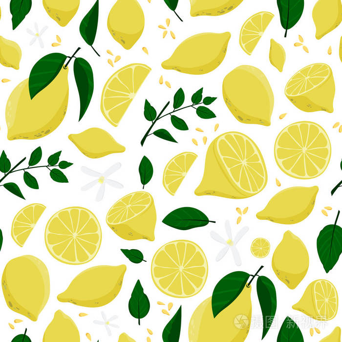 无缝的柠檬图案。花卉背景