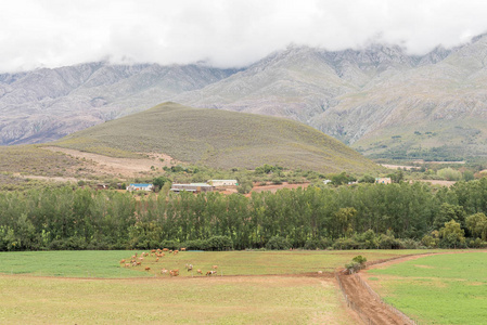 农场的风景与 Swartberg 所述云