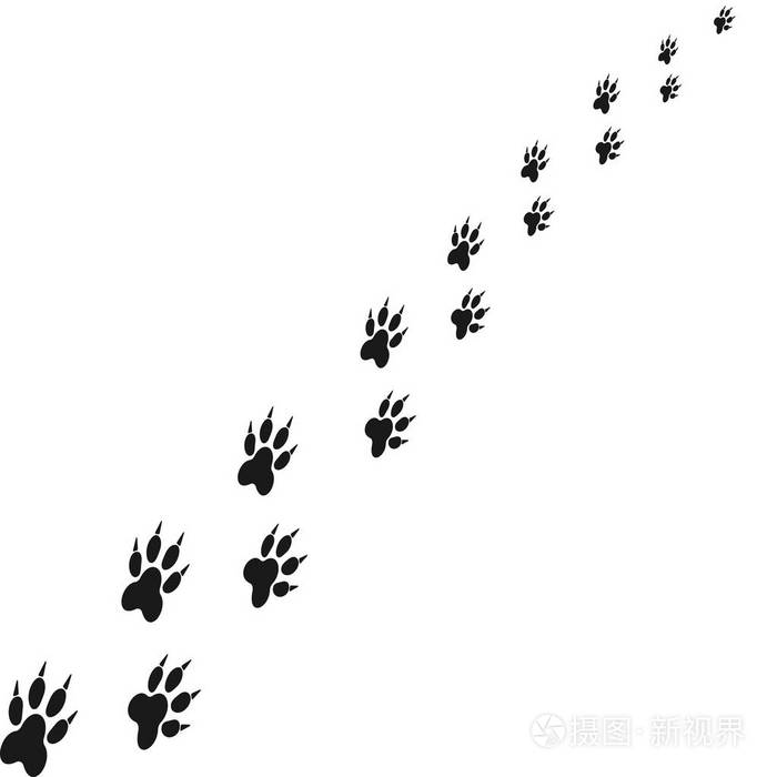 动物爪子的脚印.抽象的向量.