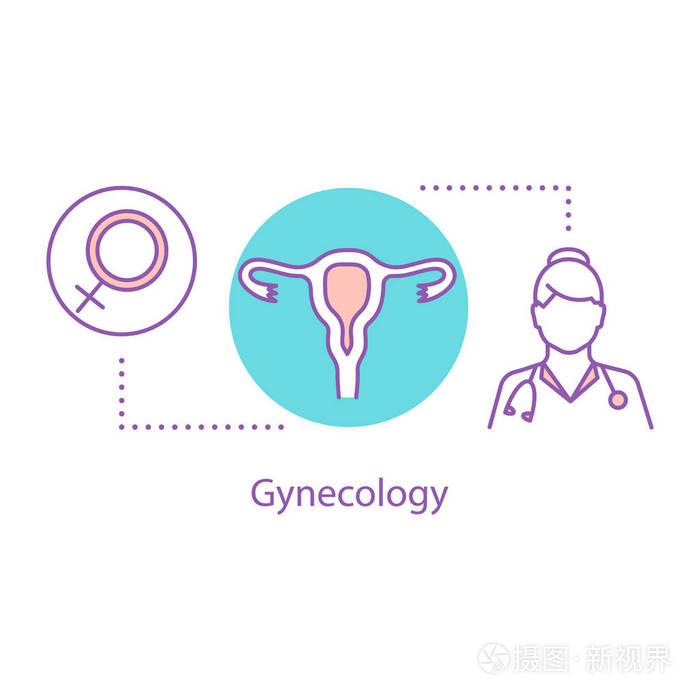 妇科概念图标.女性生殖系统健康.细线插图.妇科问题.矢量隔离轮廓图