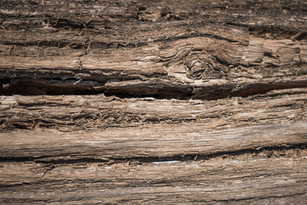 纹理的老木材使用作为自然背景。木质背景