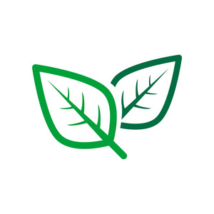 徽标叶植物图标矢量