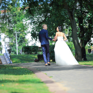 后视图. 新郎新娘走在公园的小巷里
