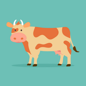 可爱的棕色母牛图片