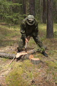 林督察组林务员，标志着卫生砍伐森林来的网站。生产的卫生砍伐木材的西伯利亚针叶林地带用斧头方向的索引。森林木匠 ax 督察删除 b