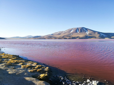 Colorada 景观, 玻利维亚。美丽的玻利维亚全景。红水泻湖