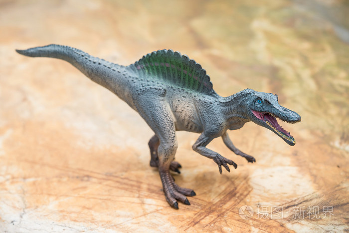 灰色的棘玩具站在岩石上