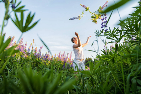 美丽的女孩在一个紫色的 lupines 在夏天的一天