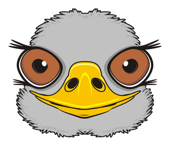 可爱的灰色鸵鸟可爱卡通鸵鸟矢量插图可爱的不同的非洲野生动物设置