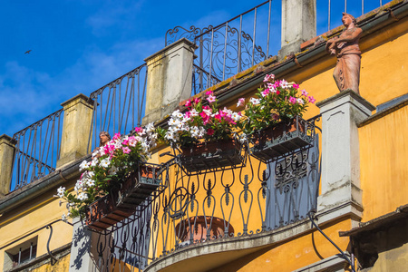 老城市佛罗伦萨的典型街道上有花的花盆