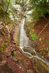 山间溪流，水落在长满苔藓的石头
