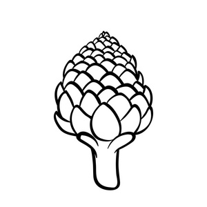 在白色背景上的朝鲜蓟矢量手画的一个洋蓟例证.轮廓涂鸦图标.