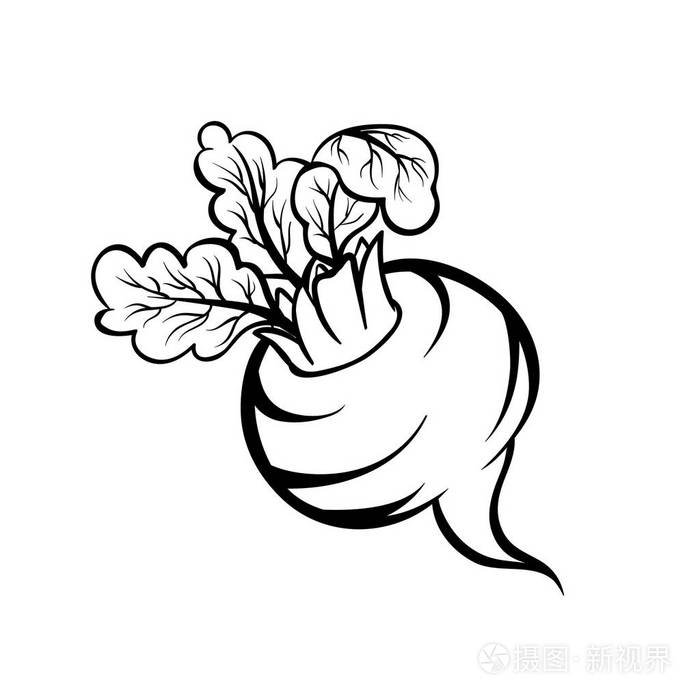 儿童简笔画甜菜图片