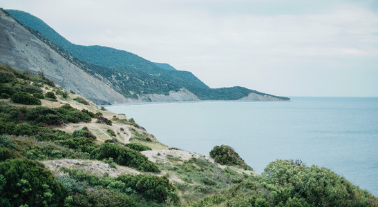 美丽的夏天海景