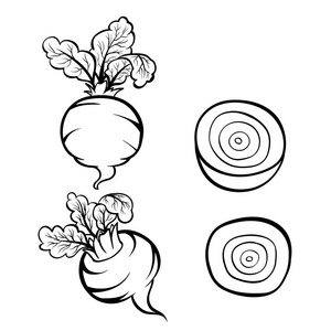矢量手工绘制的甜菜例证。轮廓涂鸦图标。印刷品, 网络, 移动和图表的食物剪影。在白色背景元素上被隔离。设置