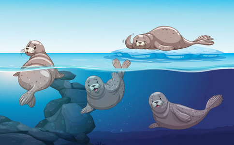 海豚在海洋中游泳图片