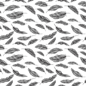 羽毛羽毛黑色纹理图片