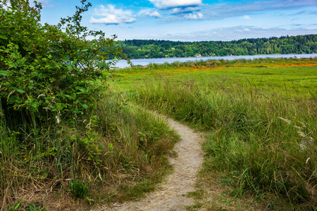 在草地中的行人路图片