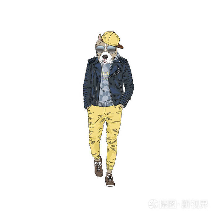 斗牛犬时髦装扮现代都市风格 拟人化动物插画插画 正版商用图片0rd2ta 摄图新视界