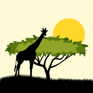 相思树和长颈鹿轮廓概念设计。 插图