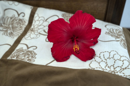 美丽的花朵铺在柔软的床上