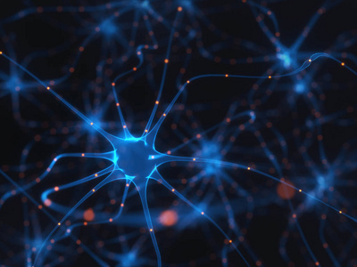 神经元的电脉冲照片