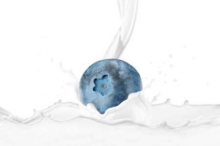 牛奶泼在新鲜的蓝莓与飞溅