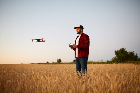 农夫用双手握住遥控器, 而 quadcopter 在后台飞行。无人机盘旋在麦田的农艺师后面。农业新技术和创新。后退视图
