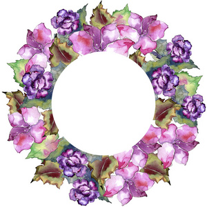 粉红色和紫色的 gardania。花卉植物花。框边框装饰广场