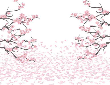 分支机构的一朵朵粉红色樱桃两边的图片。樱花。花瓣在风中飞，躺在地上。白色背景上的孤立。插图