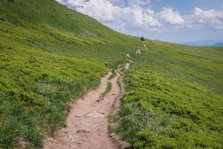 路线从 Osadzki Wierch 山在 Bieszczady 国家公园, 波兰的 Subcarpathian 省