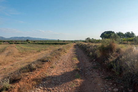 在西班牙 Castellon 的圣地亚哥和通过奥古斯塔的路