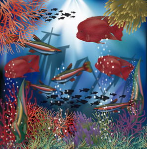 水下壁纸与红热带鱼，矢量图