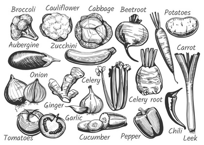 蔬菜在墨水绘制风格