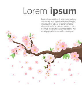 分支的粉红盛开的樱花。日本樱花树。矢量用鲜花装饰树枝，春平设计风格矢量图